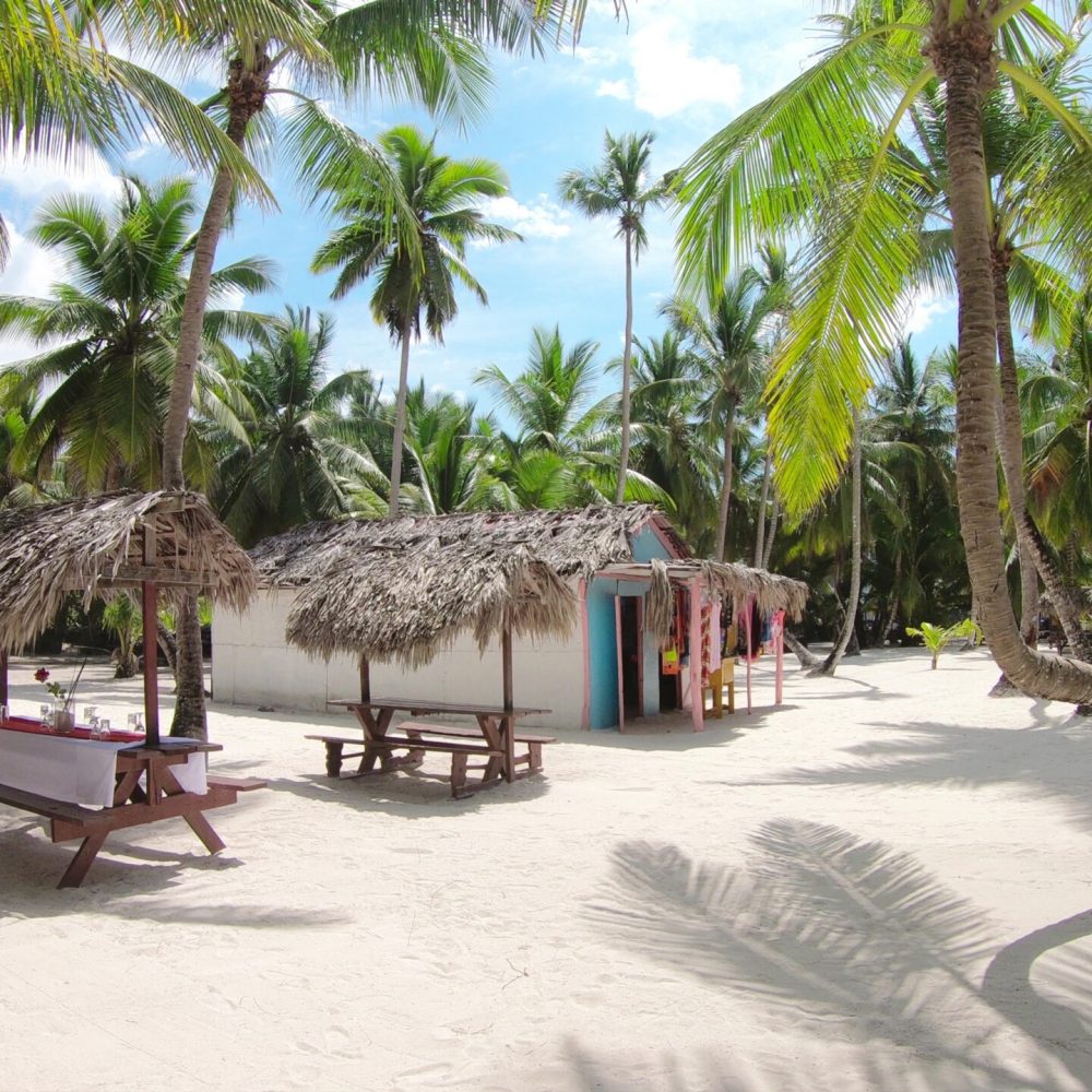 House_On_A_Palm_Beach_original_842573